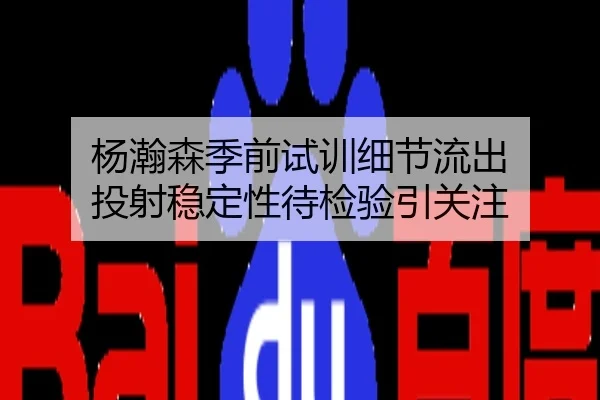 杨瀚森季前试训细节流出 投射稳定性待检验引关注